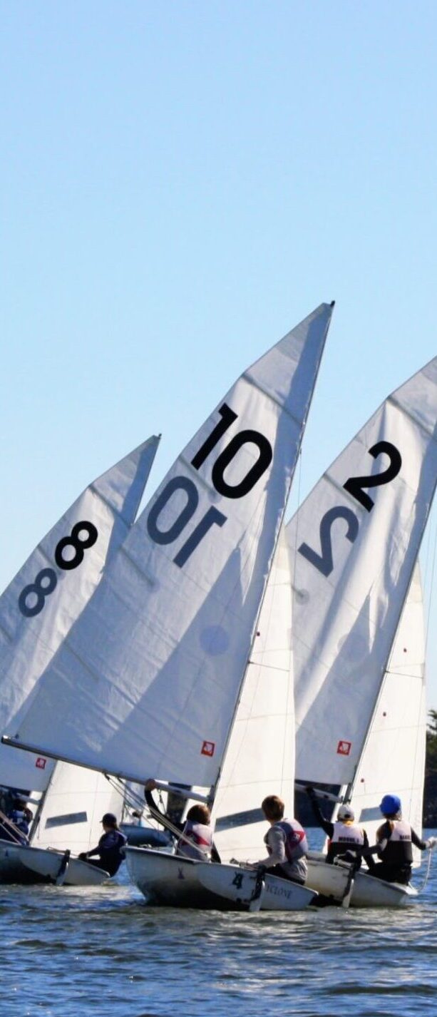 Shsc Sailing High School Sailing - Carolina Sailing Foundation